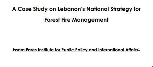 A Case Study On Lebanon’S National Strategy For Forest Fire Management | Ifi Research Paper